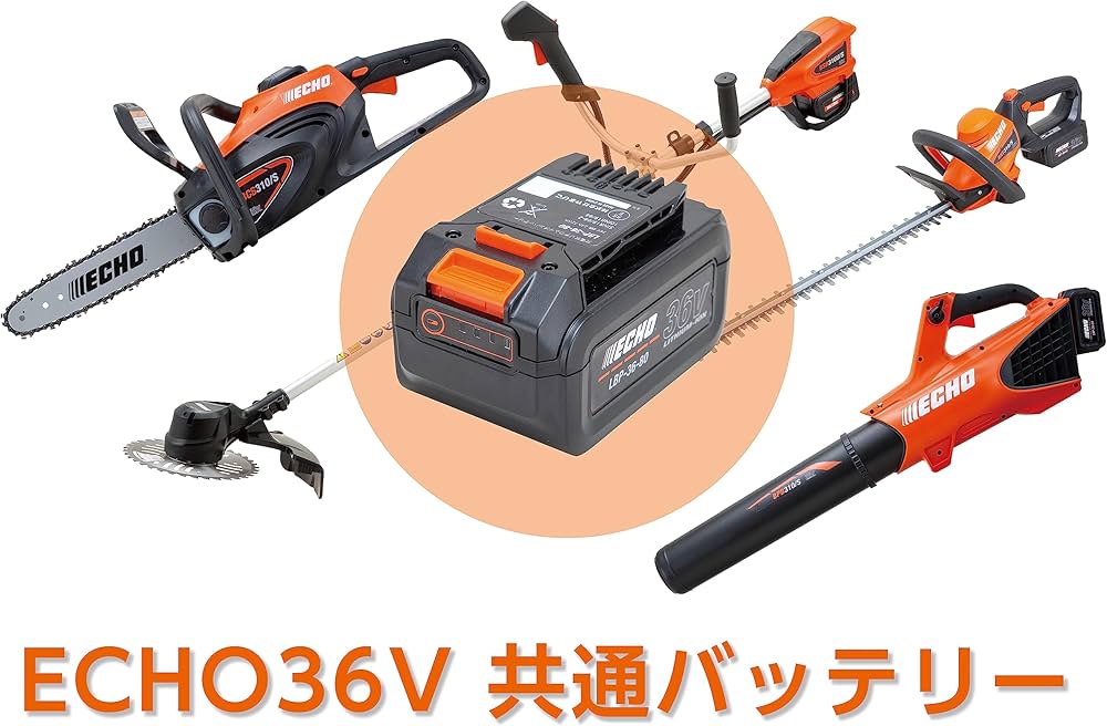 81Lzjp-vyXL._AC_UF1000,