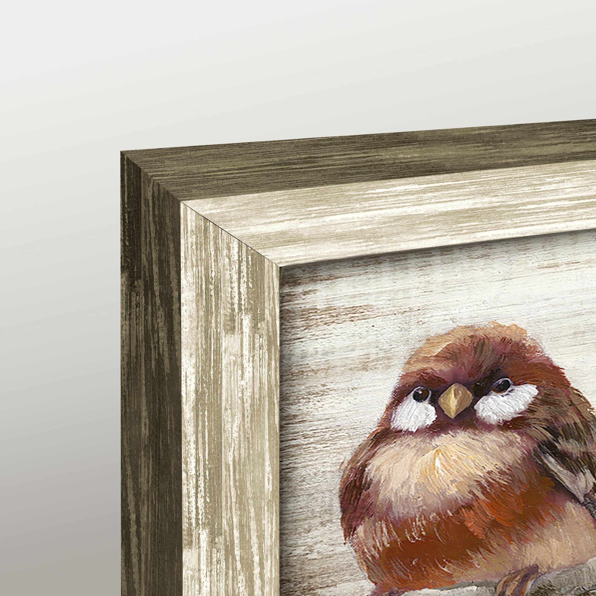 Amazon.co.jp: カラフルな鳥のフレーム付きウォールアート かわいい