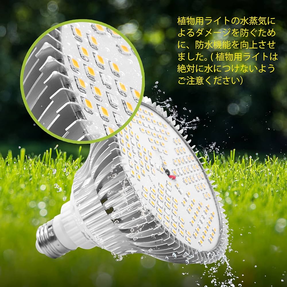 81NfowGj7BL._AC_UF1000,