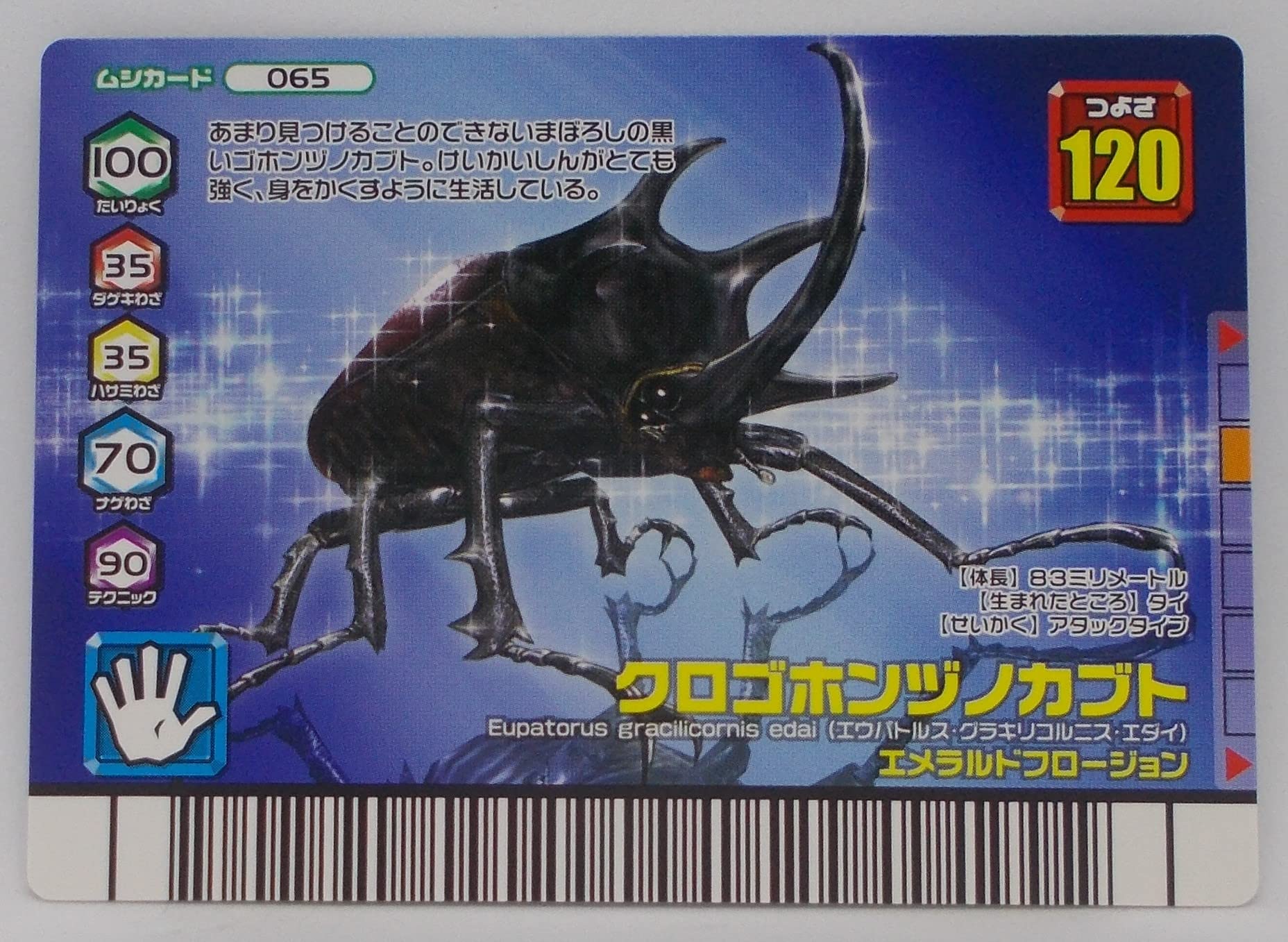 Amazon.co.jp: 【065-ダイヤモンドブルー】クロゴホンヅノカブト／甲虫