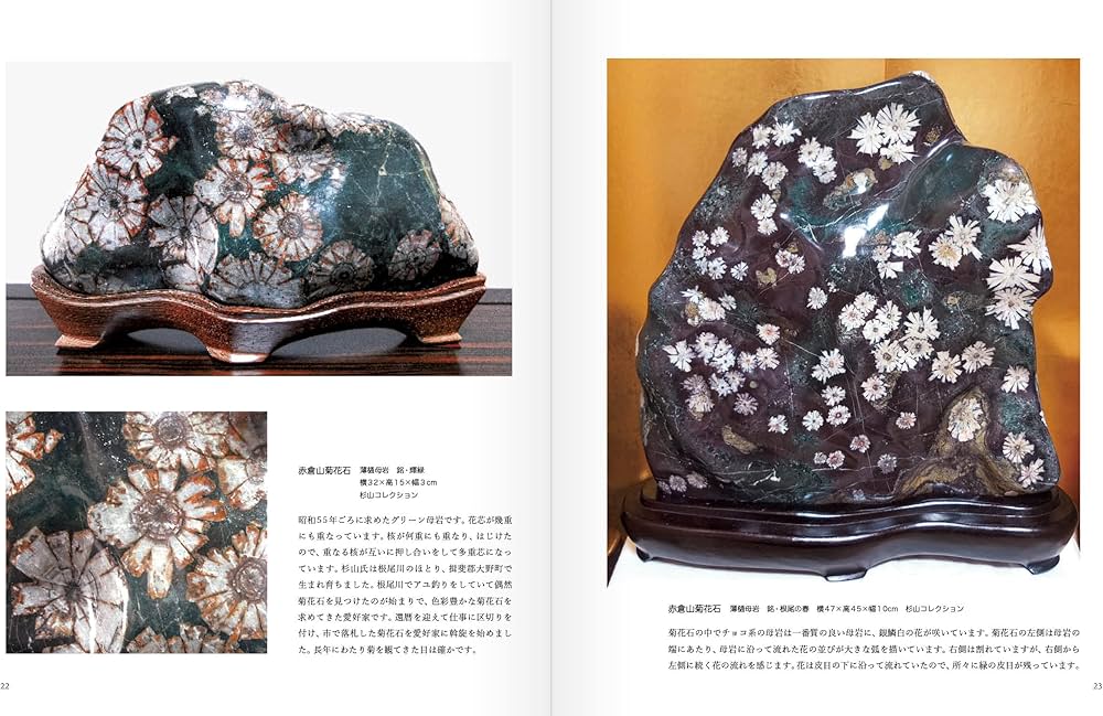 NEO菊花石 | 石原 宣夫 |本 | 通販 | Amazon