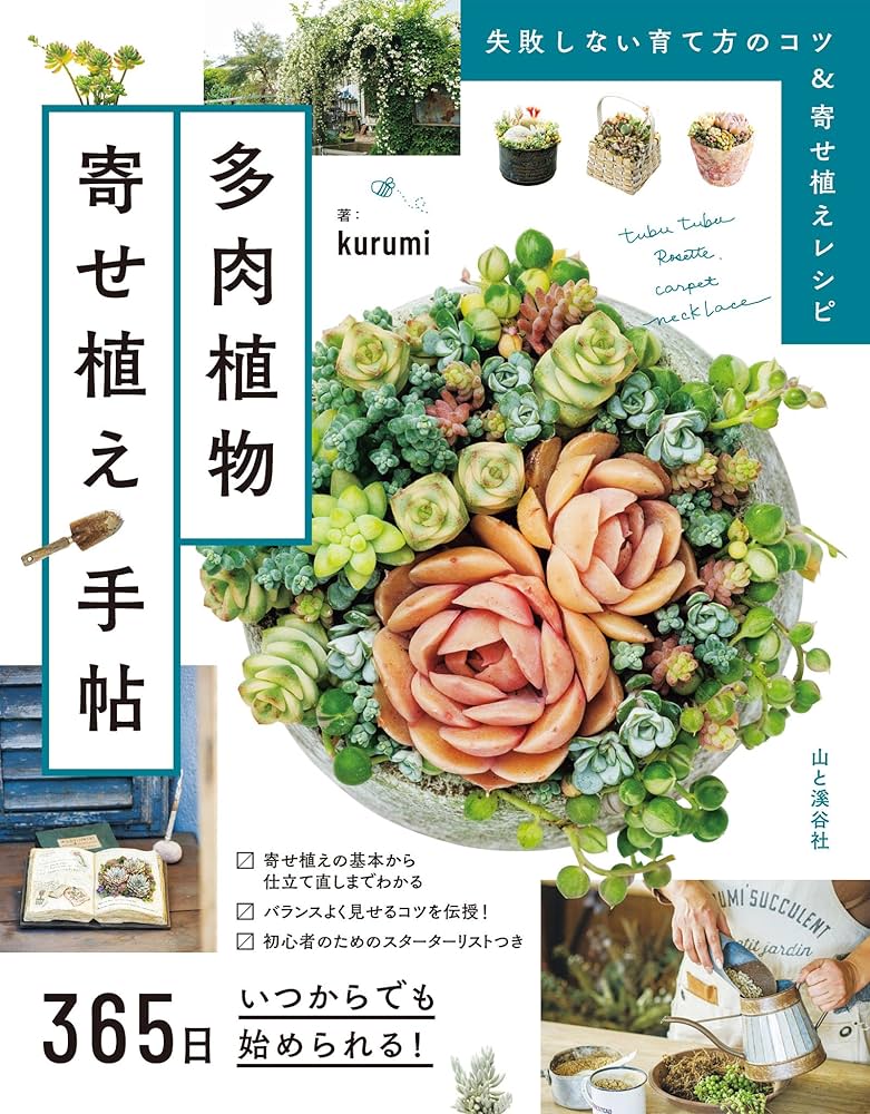 Amazon.co.jp 限定】365日いつからでも始められる！ 多肉植物寄せ植え