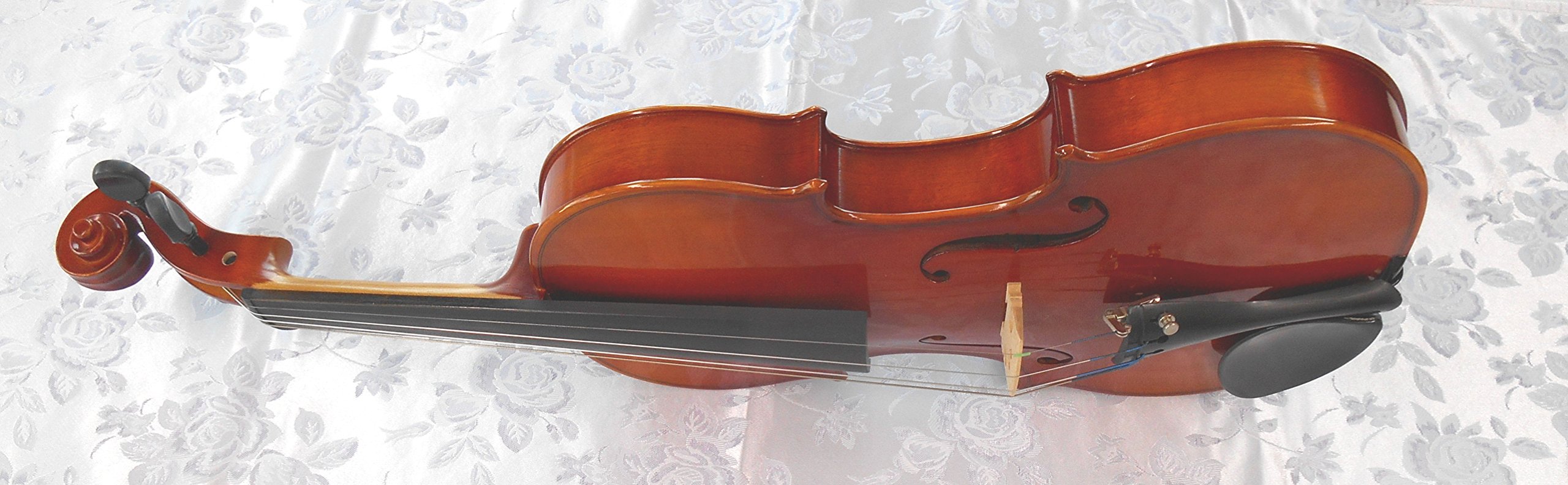 Amazon | スズキ アウトフィットバイオリン NO200 4/4 | バイオリン