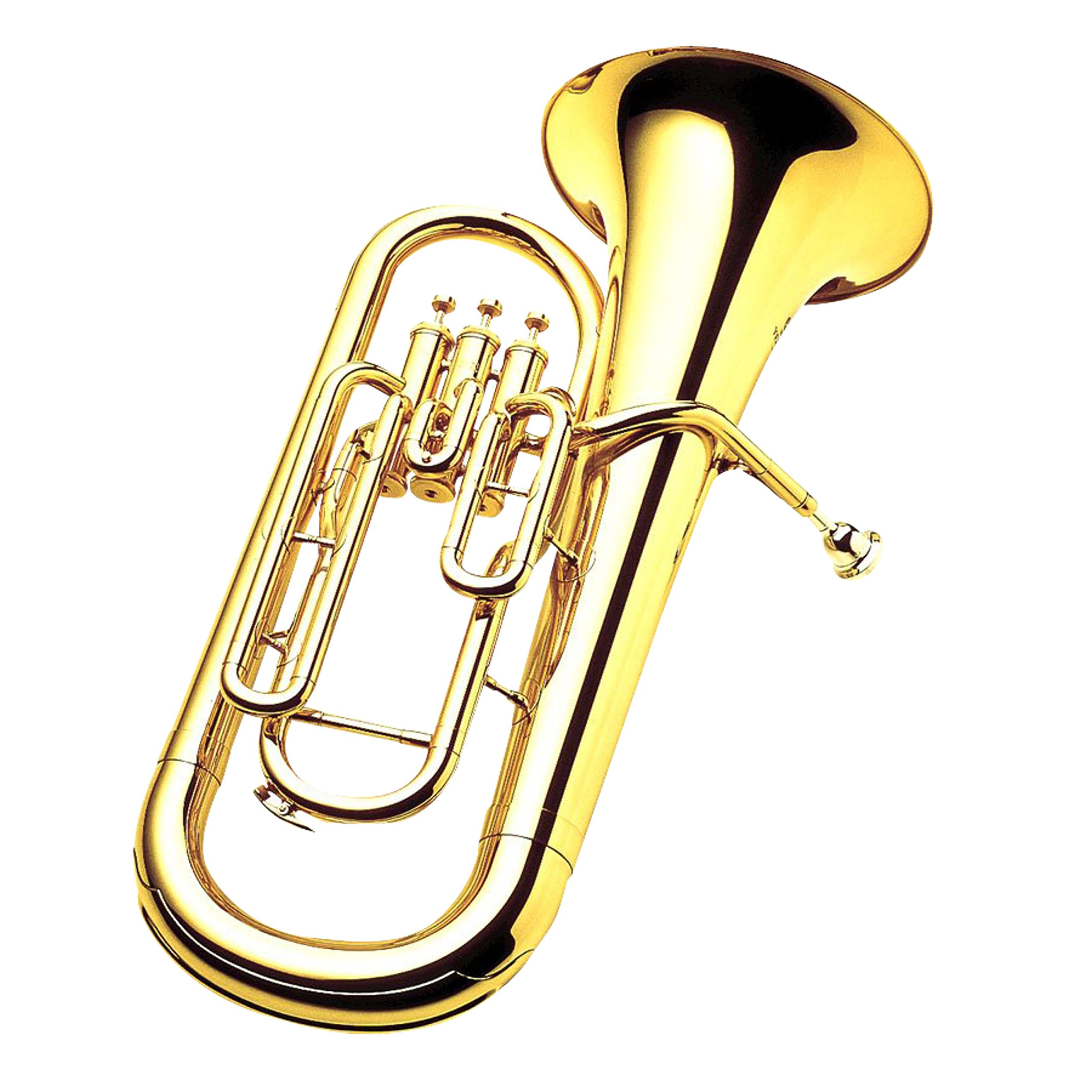 Amazon.com: Yamaha YEP-201 3-valve Student Euphonium - Clear