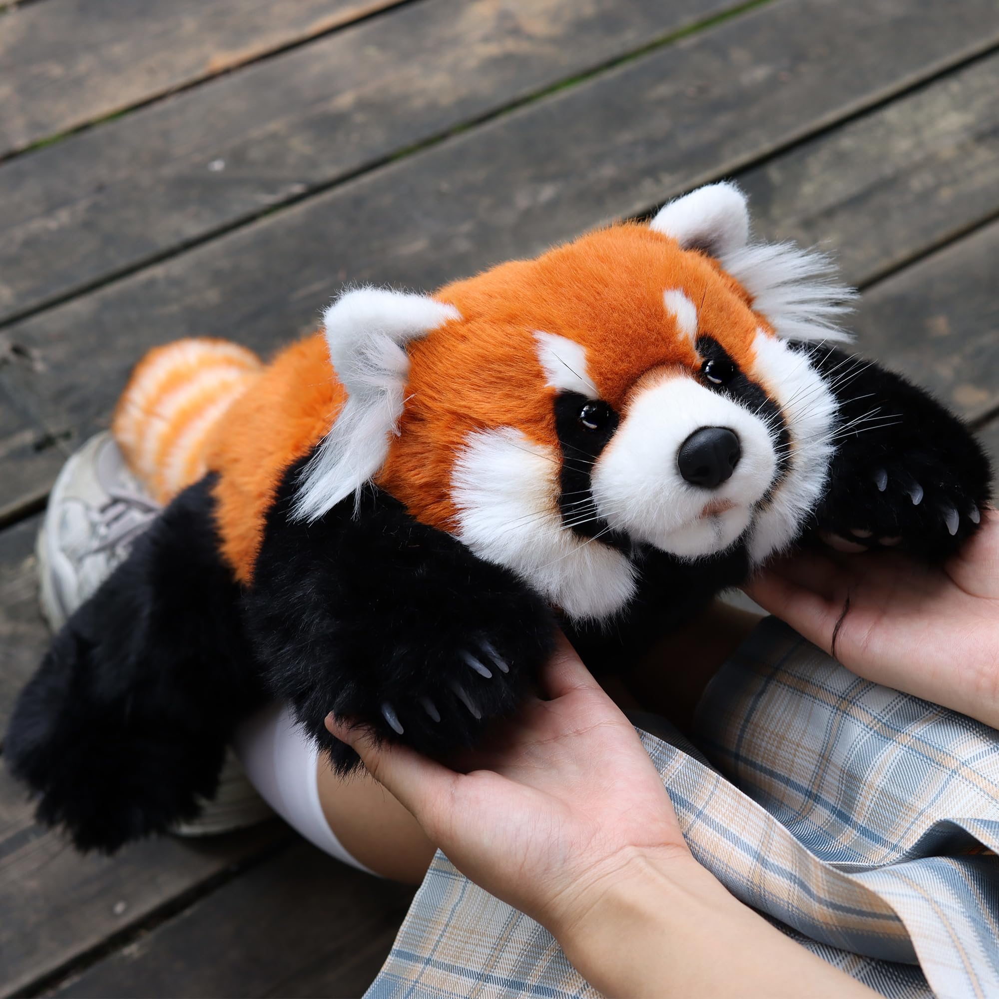 Amazon.co.jp: Chongker レッサーパンダのぬいぐるみがリアルでリアル