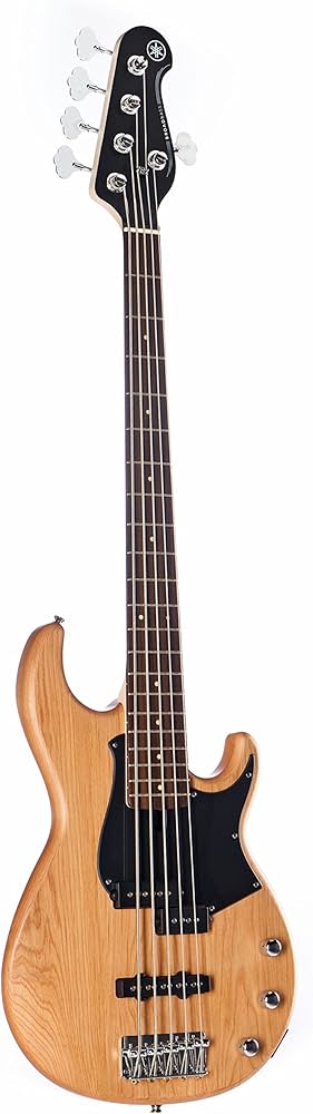 Amazon.co.jp: 【楽器店大賞2023受賞】ヤマハ YAMAHA BB235 YNS 5弦