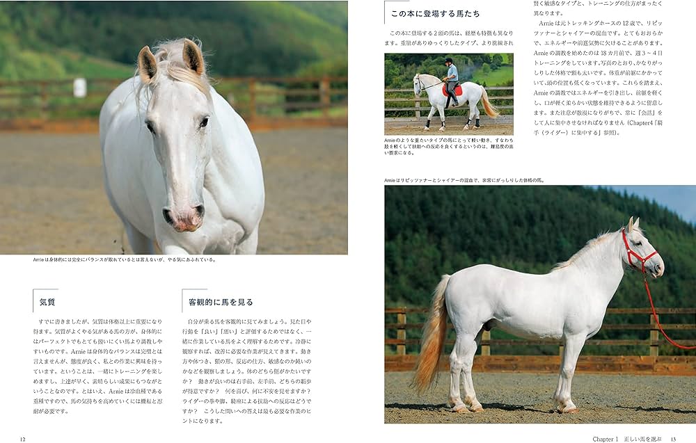 馬と人の絆を深める乗馬術 | ペリー・ウッド, 宮田 朋典, 宮田 朋典