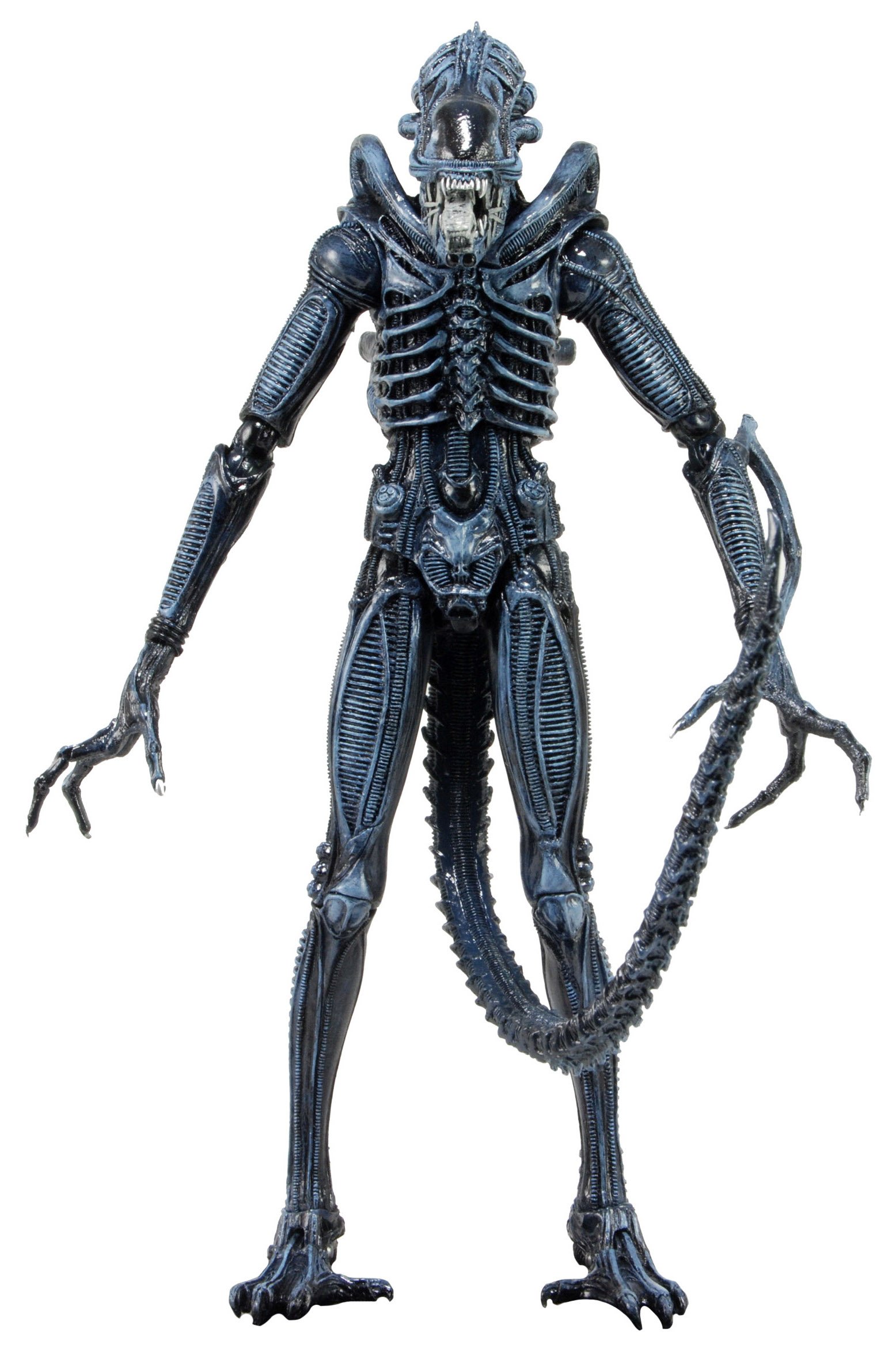 Amazon.com: NECA Series 2 Alien Warrior 7