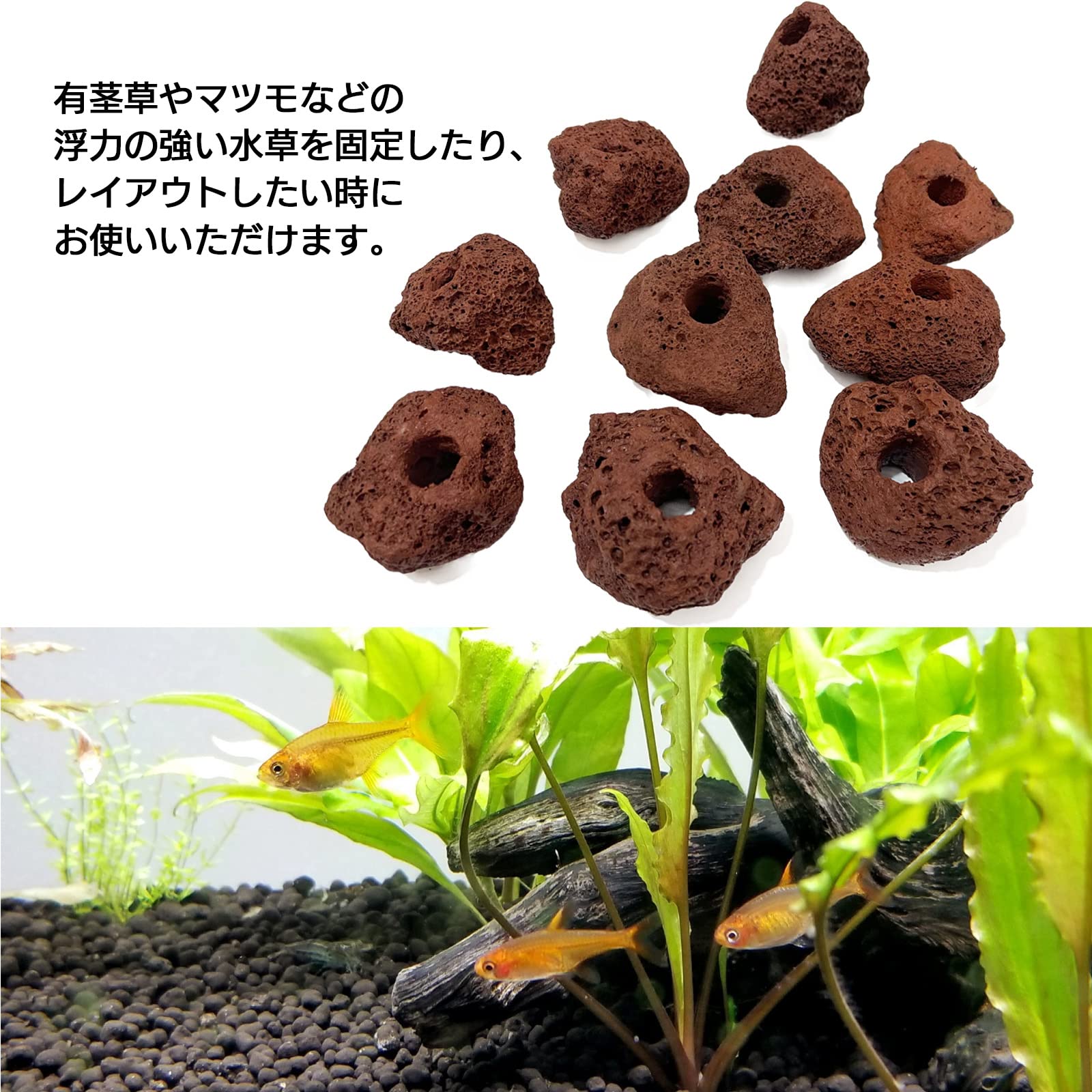 Amazon | モデルノ ラ テール 溶岩石 穴あき アクアリウム オブジェ