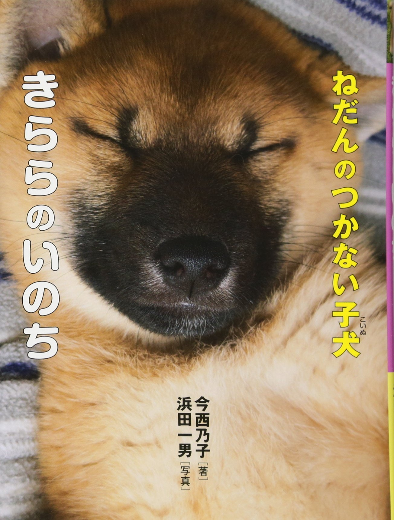 ねだんのつかない子犬・きららのいのち | 今西 乃子, 浜田 一男 |本