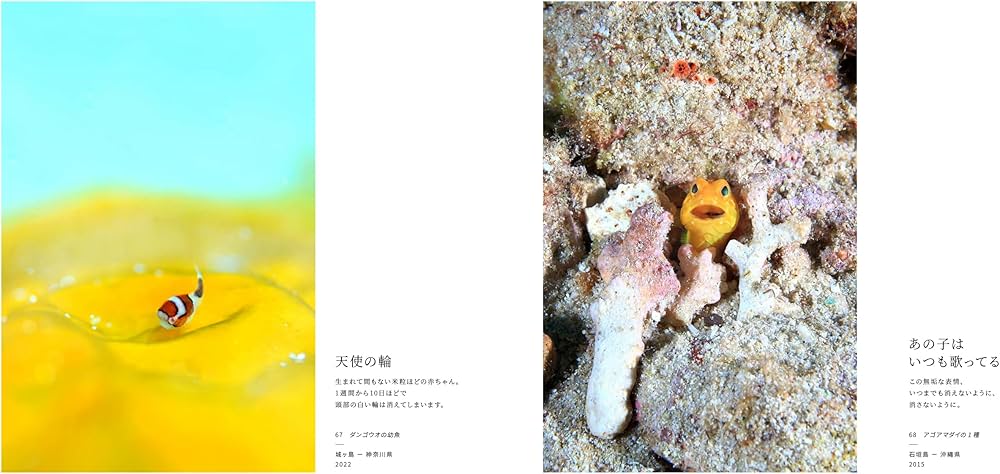 海中顔面大博覧会 | 中村 征夫, 中村 征夫 |本 | 通販 | Amazon