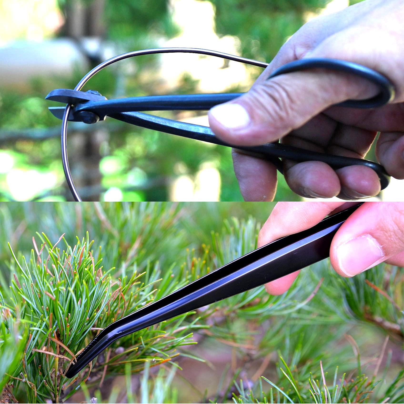 Amazon.co.jp: KAKURI 日本製 盆栽道具セット 7本 日本製 プロ仕様