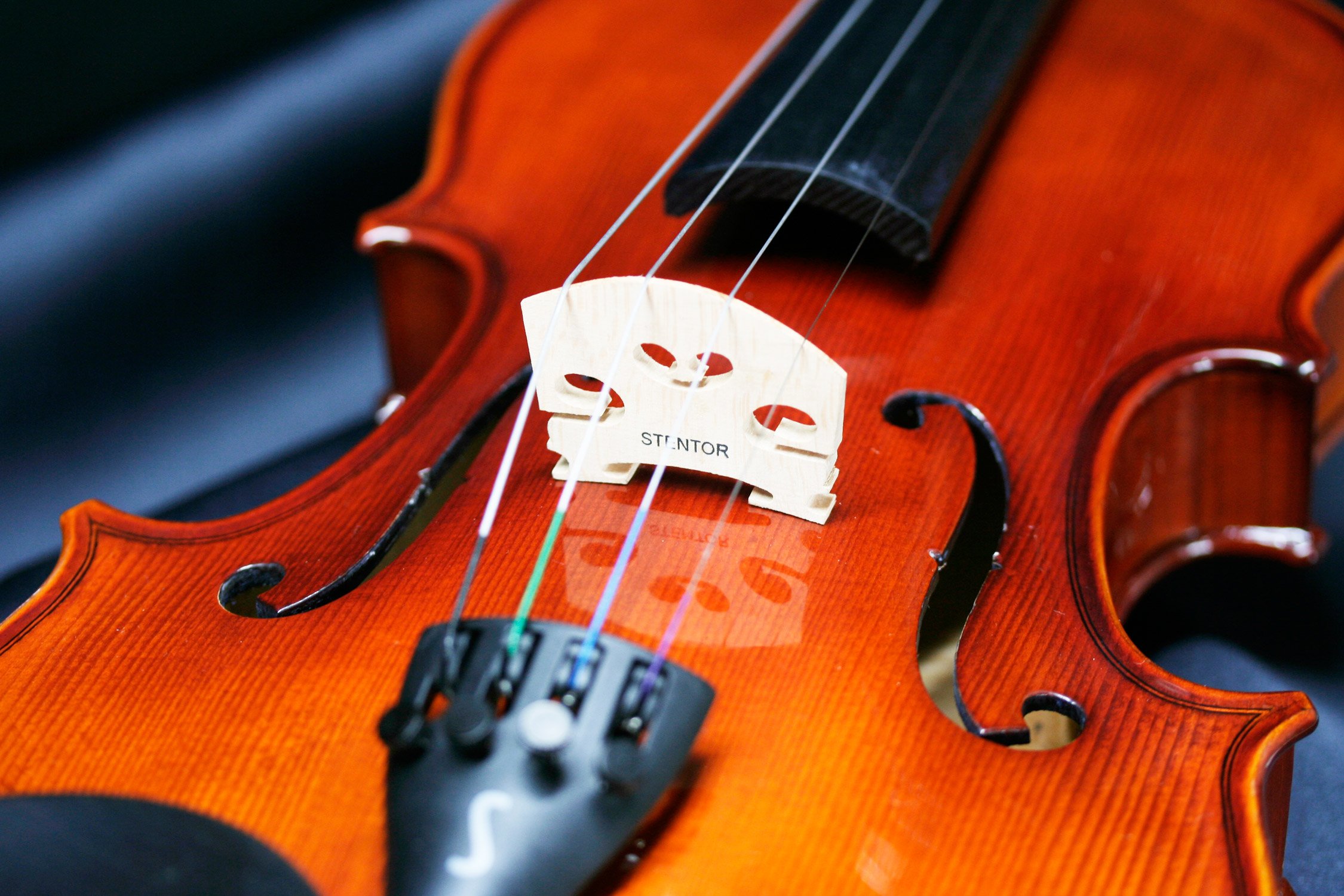 Amazon.co.jp: STENTOR (ステンター) バイオリンセット SV-320 4/4