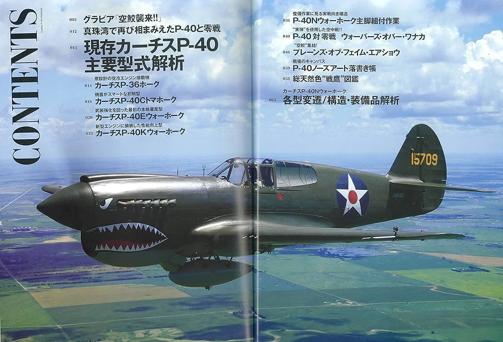 カーチスP-40ウォーホーク (エイムック 4543 第二次大戦機DVD