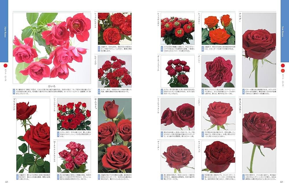新・薔薇大図鑑2200 ~Encyclopedia of Rose~ | |本 | 通販 | Amazon