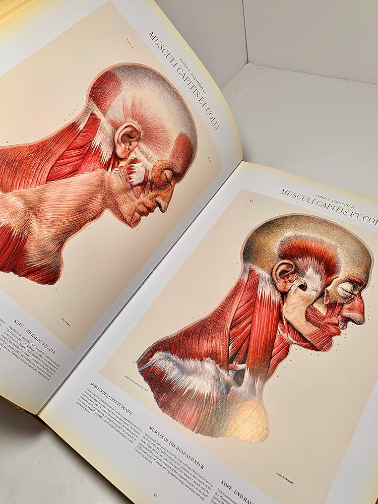 Atlas of Human Anatomy and Surgery: The Complete Coloured Plates