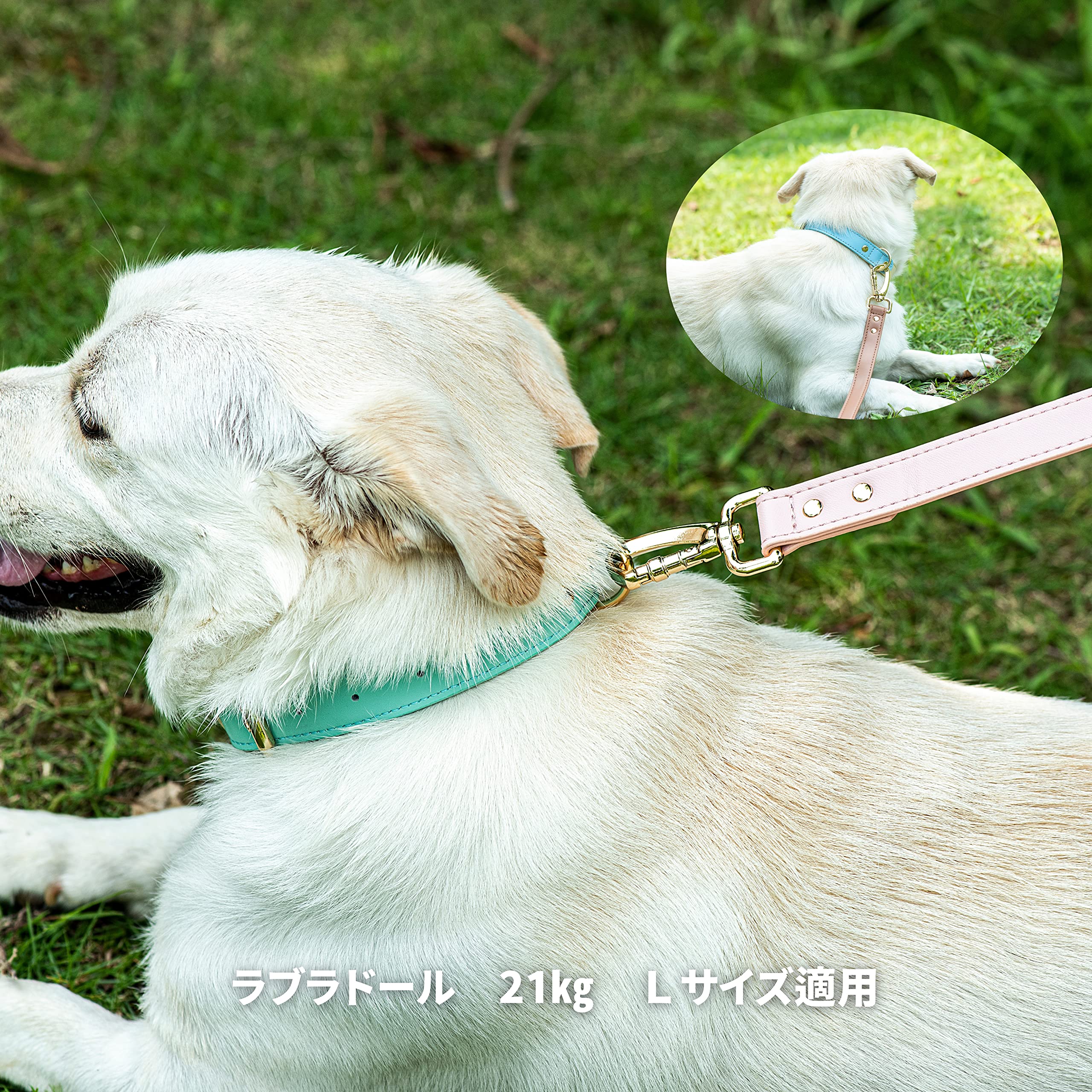 Amazon | AKAGIICHI 犬 首輪 革 犬の首輪 小型、中型、大型犬用首輪 本