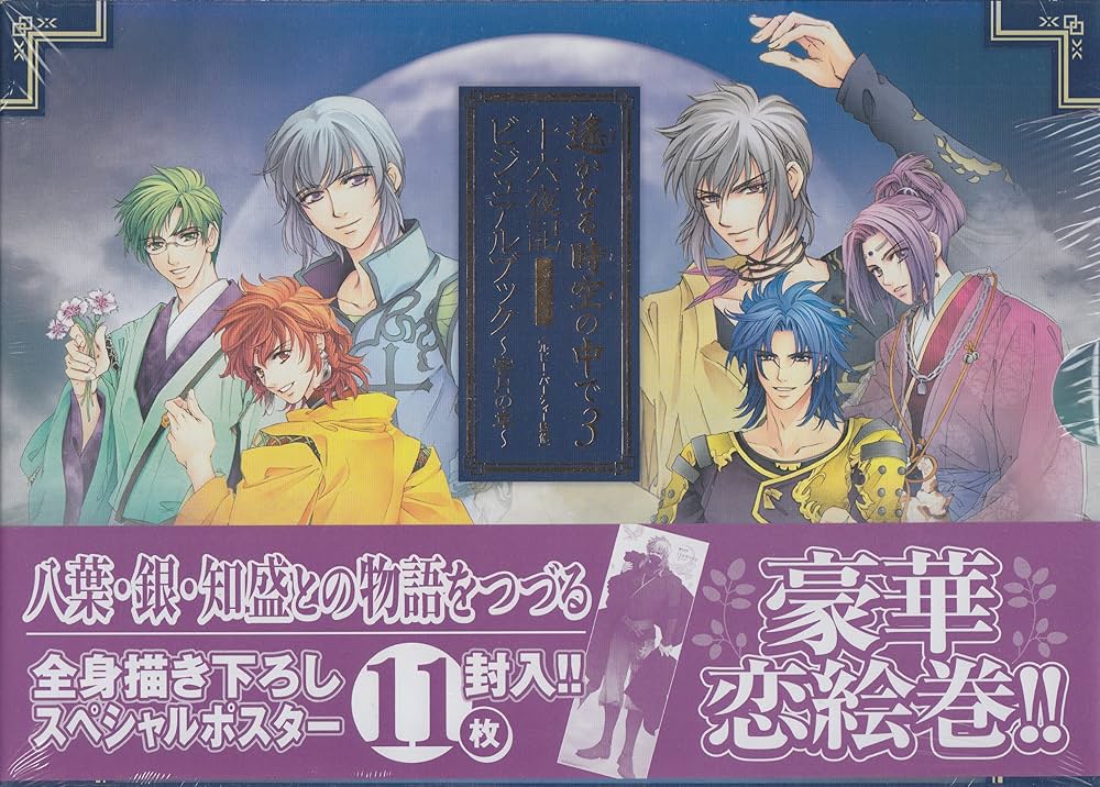 遙かなる時空の中で3 十六夜記 ビジュアルブック ~蜜月の章~ | ルビー