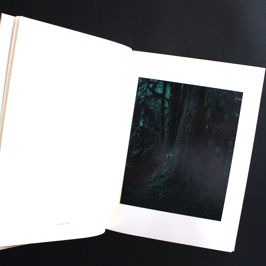 Into the Silent Land - 上田 義彦 / Yoshihiko Ueda