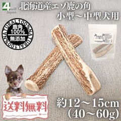 北海道産エゾ鹿の角 中型～大型犬用 1本 | 犬用 用品,北海道産エゾ鹿の