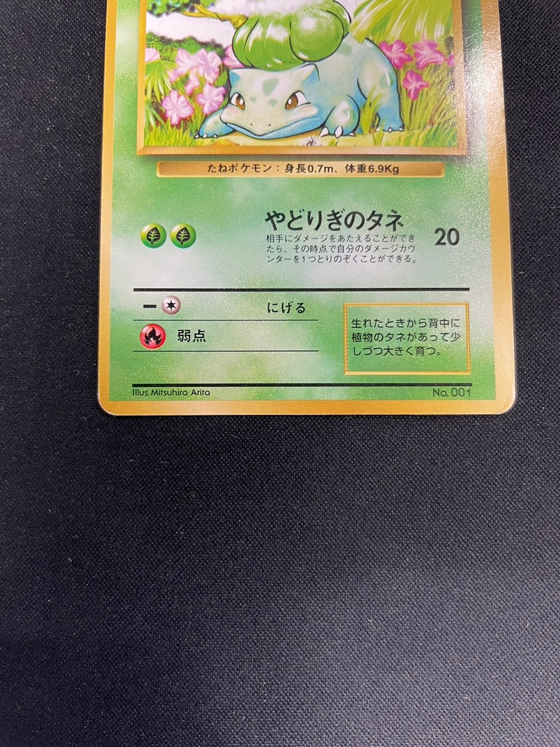 旧裏】【初版】フシギダネLV.13【状態C】