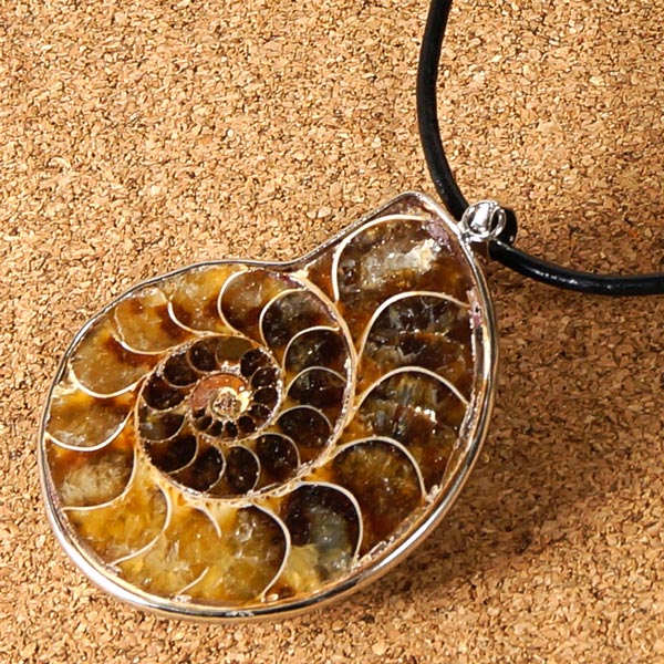 本革チェーン付き アンモナイトペンダント 6-10g | 天然石一覧,天然石