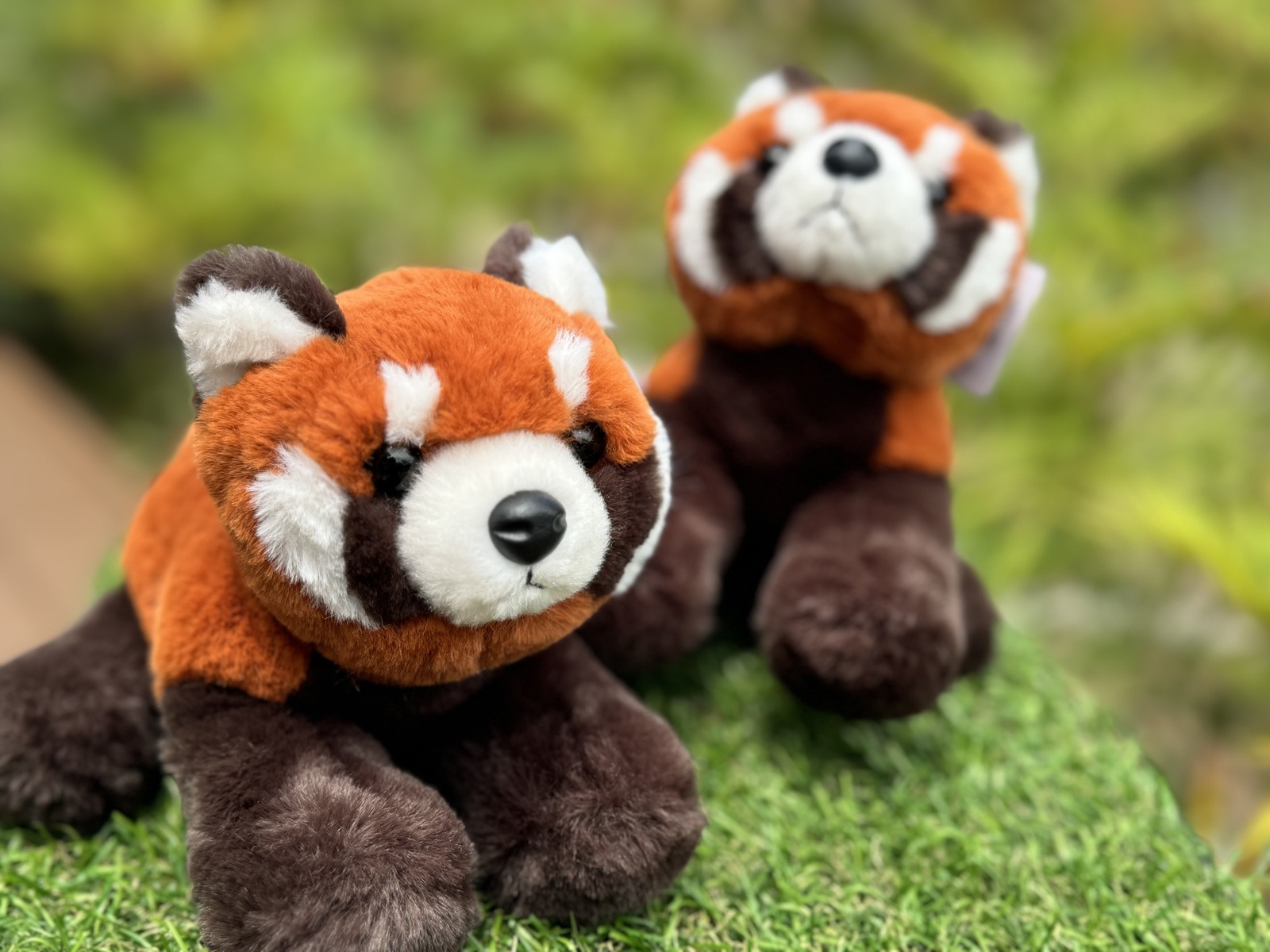 天王寺動物園オリジナル】レッサーパンダぬいぐるみ | 天王寺動物園