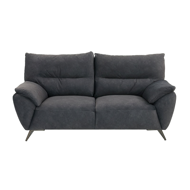 2人掛ソファ DENNIE KD XY-SF091 RIELY455 FAB DGY【大型商品配送