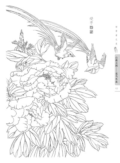 花鳥魚虫 白描百図 初心者の友 中国絵画/花鸟鱼虫 白描百