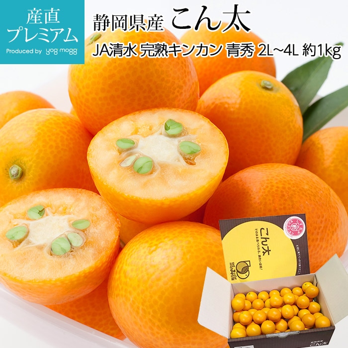 金柑 完熟きんかん こん太 青秀 約1kg 2L～4Lサイズ 静岡県産<br