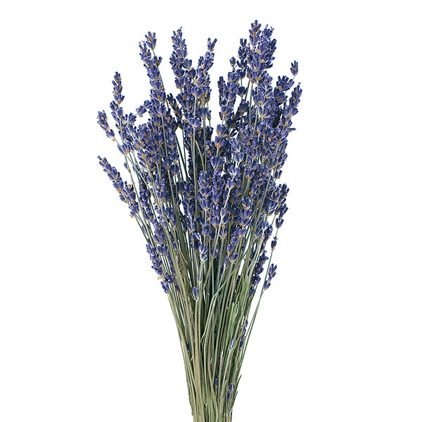 ドライフラワー 『ラベンダー イタリー ナチュラル 10040-000