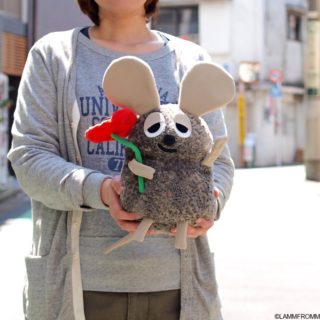 拡大イメージ表示