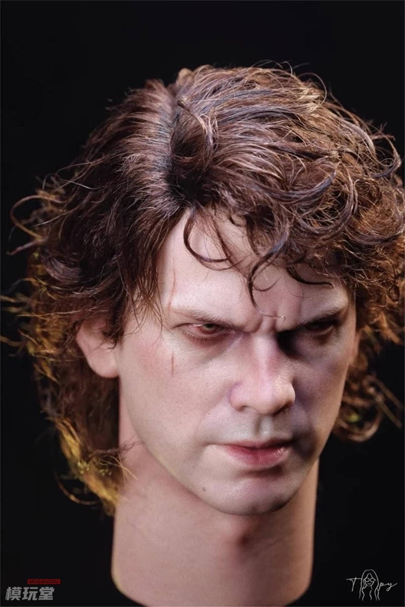 予約 Toopy Studios 1/6 アナキン スカイウォーカー ＆ ダース