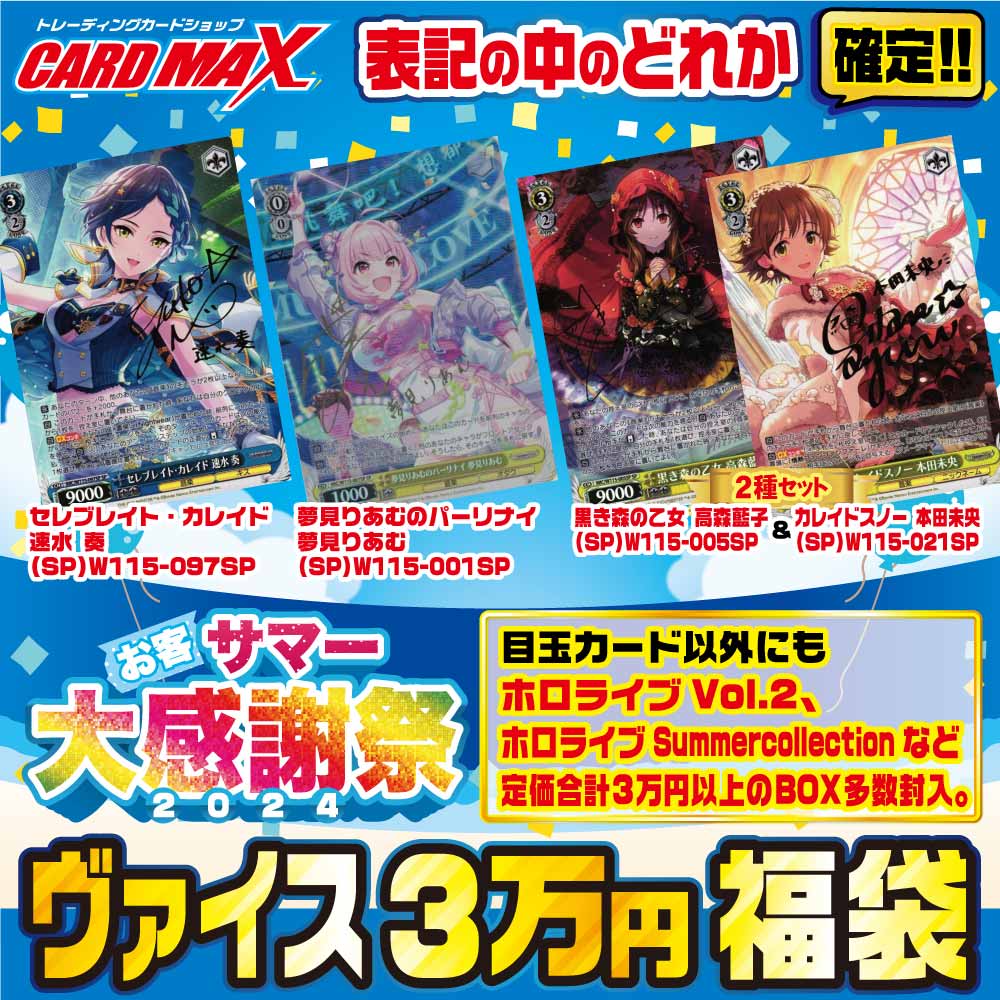 2024年 ヴァイス お客SUMMER大感謝超豪華3万円 福袋【ヴァイス