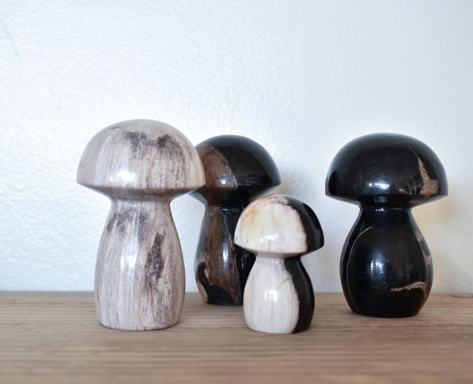 MUSHROOM STONE / 珪化木のオブジェ ｜CATAWARA（カタワラ）