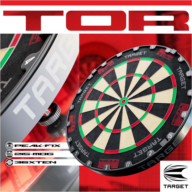 ★希少品・箱付き★ ダーツボード PRO TOUR DARTBOARD target】ターゲット プロツアーボード 13.2インチ ハードダーツボード