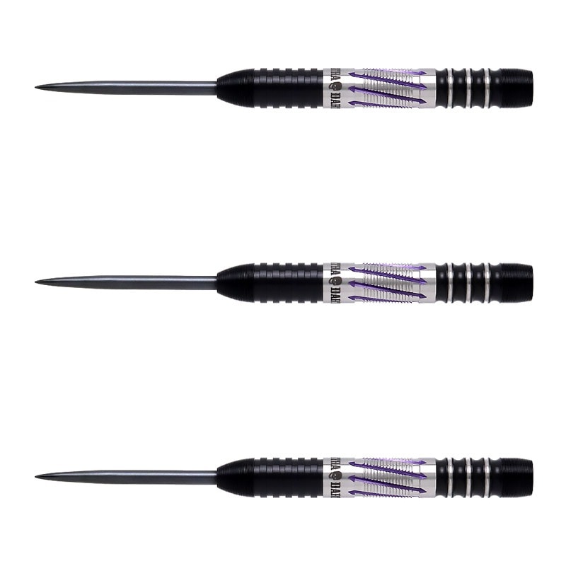 DYNASTYダイナスティDRAGOONドラグーン3森窪龍己19g定価13800 ダーツ > ソフトダーツ > ブランド【タ行】 > ダイナスティー > ASTRA