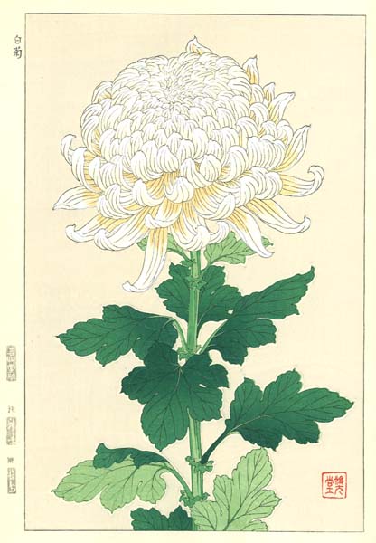 木版画のことなら『木版画 版元 芸艸堂 Woodblock print』