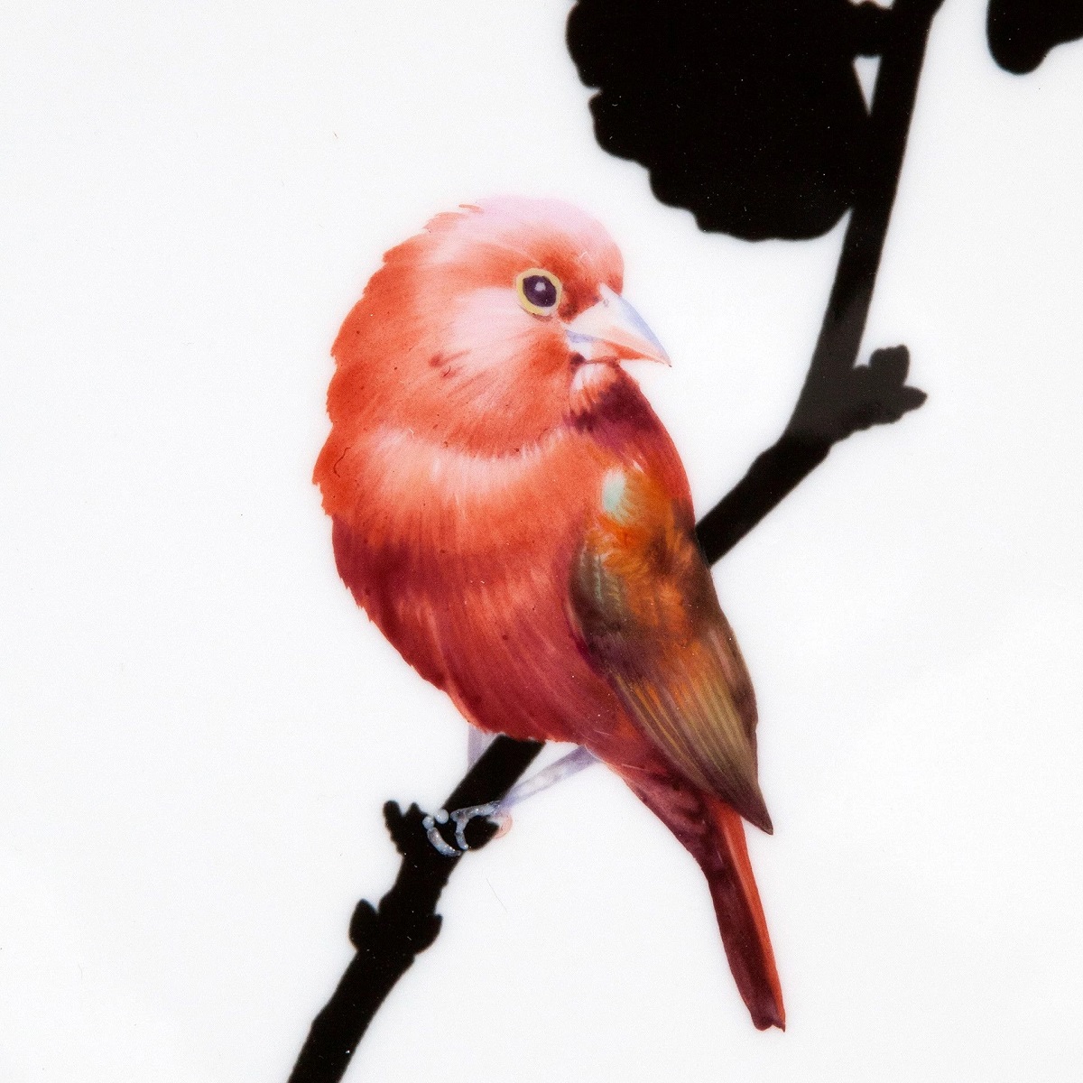 マイセン ナツフウキンチョウ 飾皿 54M49/61A126 | 飾皿 | ドイツの名