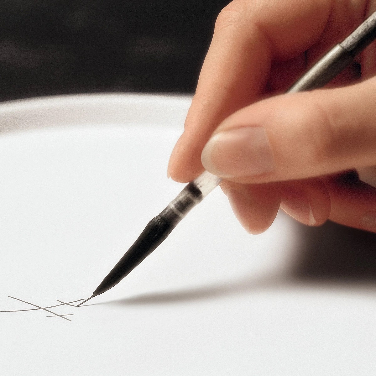 マイセン プラーク マンスリーフラワー ハイビスカス 53N32/04A030-9