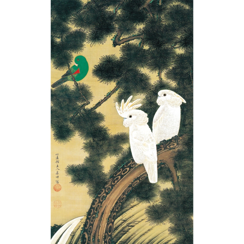 伊藤若冲 動植綵絵 老松鸚鵡図 高級仕様 掛軸 美術品 インテリア 作品