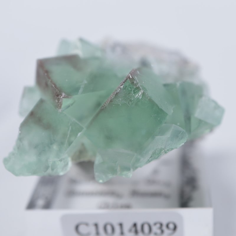 Xianghualing鉱山 蛍石 | 鉱物標本,ハ行,フローライト/蛍石,フロー