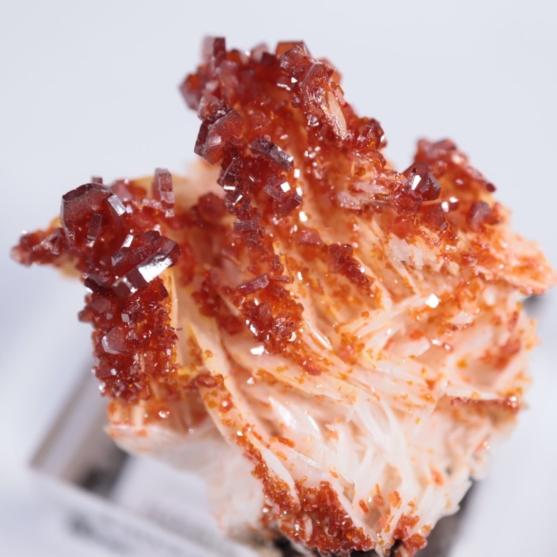 モロッコ産 バナディナイト | 鉱物標本,ハ行,バナディナイト/バナジン