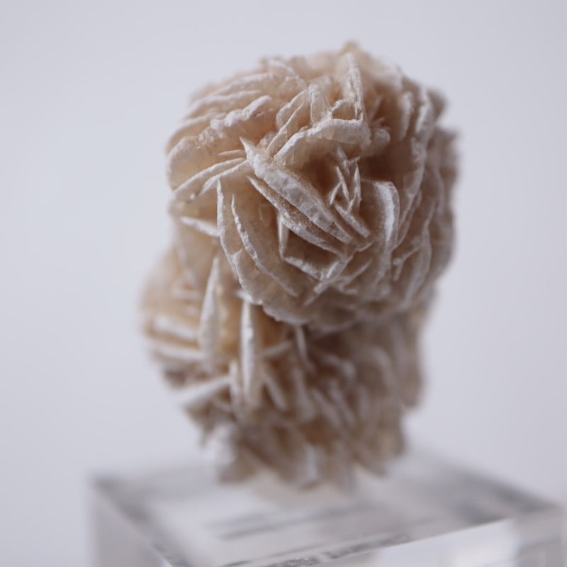 デザートローズ（砂漠の薔薇） | 鉱物標本,サ行,ジプサム/石膏