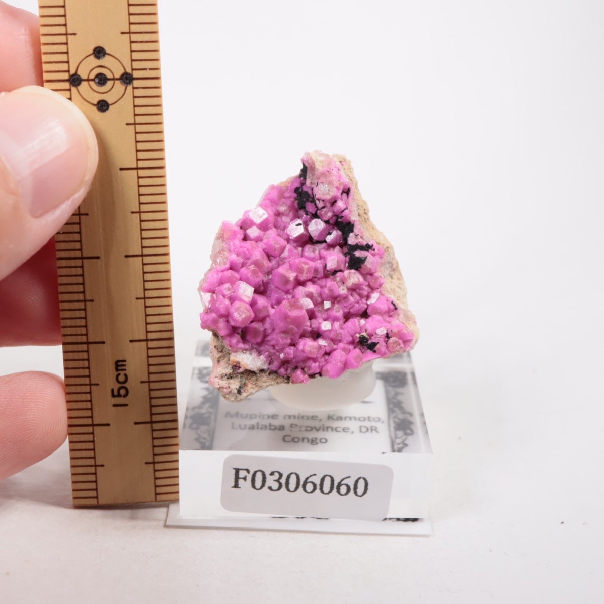 コンゴ産 コバルトカルサイト | 鉱物標本,カ行,カルサイト/方解石