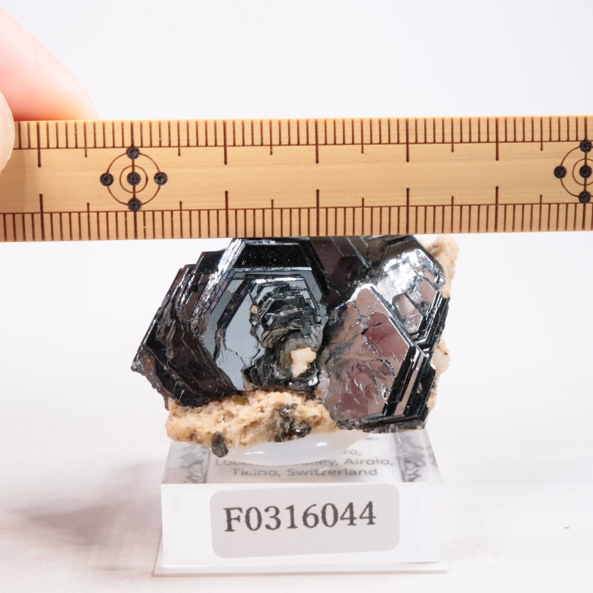 スイス産 ヘマタイトローズ | 鉱物標本,ハ行,ヘマタイト/赤鉄鉱