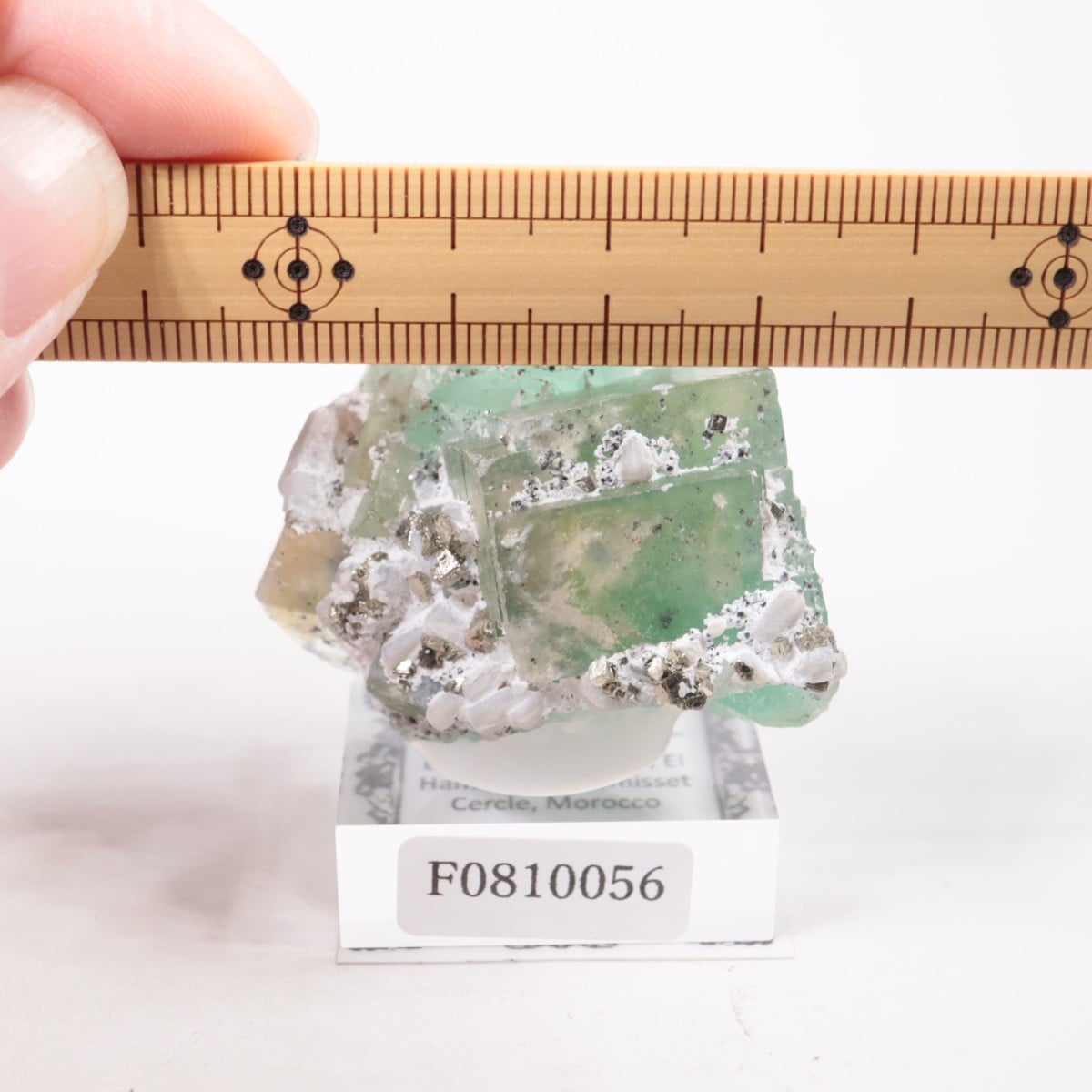 エルハマン鉱山産 フローライト | 鉱物標本,ハ行,フローライト/蛍石