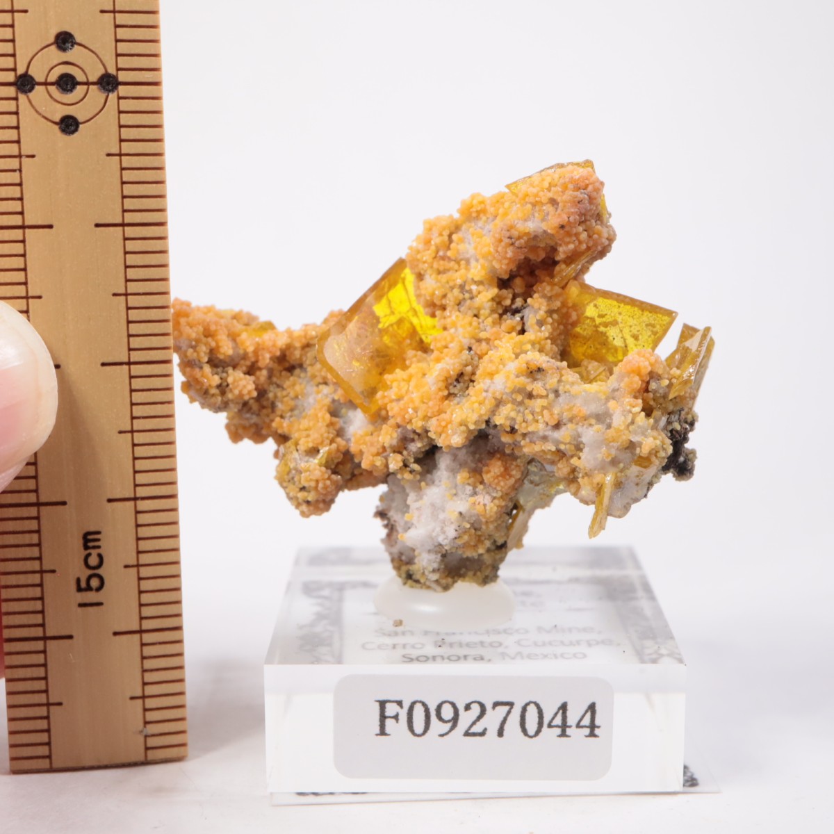 メキシコ産 ウルフェナイト、ミメッタイト | 鉱物標本,ア行,ウルフェ