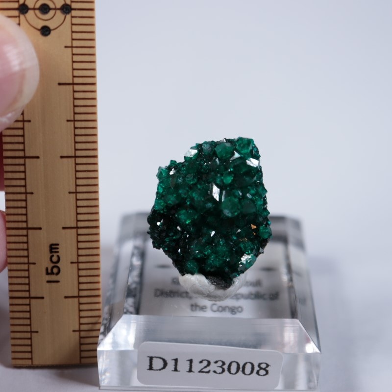 コンゴ産 ダイオプテーズ | 鉱物標本,タ行,ダイオプテーズ/翠銅鉱