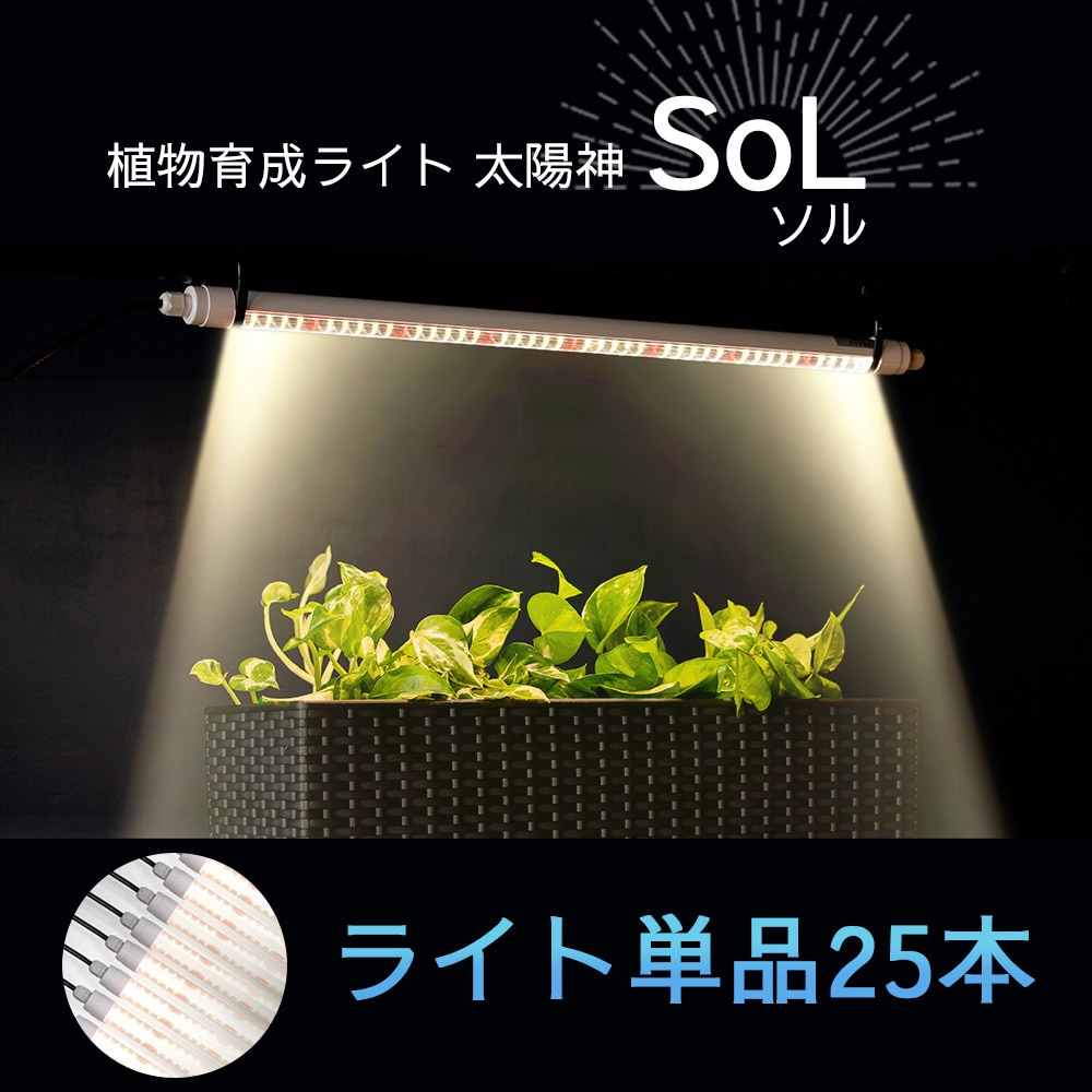 植物育成ライト 太陽神SoLソル ライト単品25本セット | すべての商品